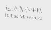 达拉斯小牛队   DALLAS MAVERICKS