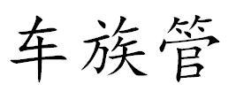 车族管