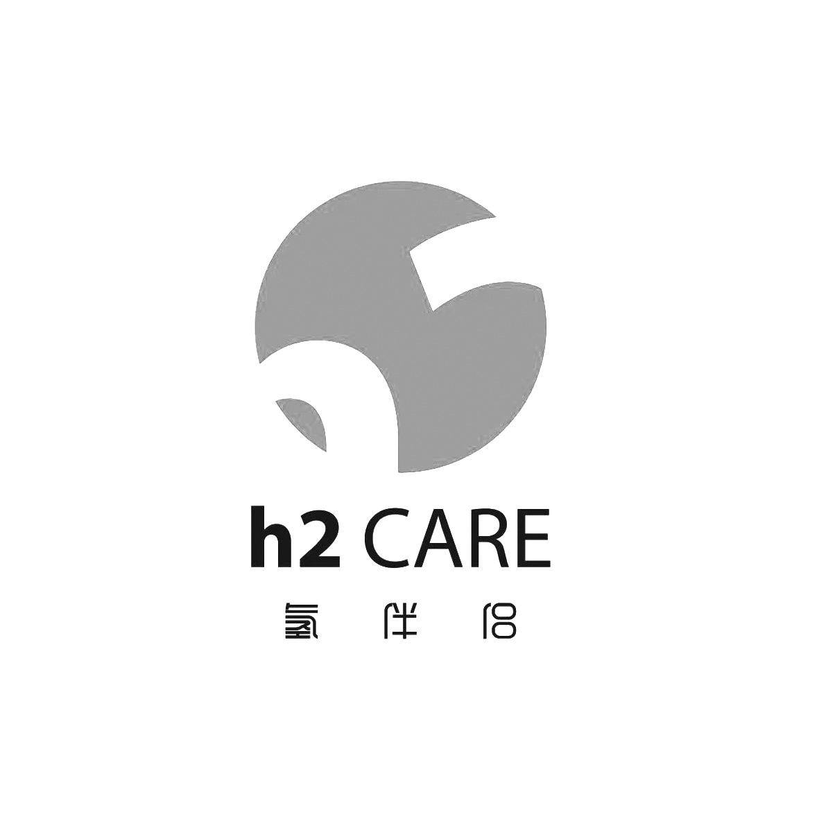 氢伴侣 H 2 CARE