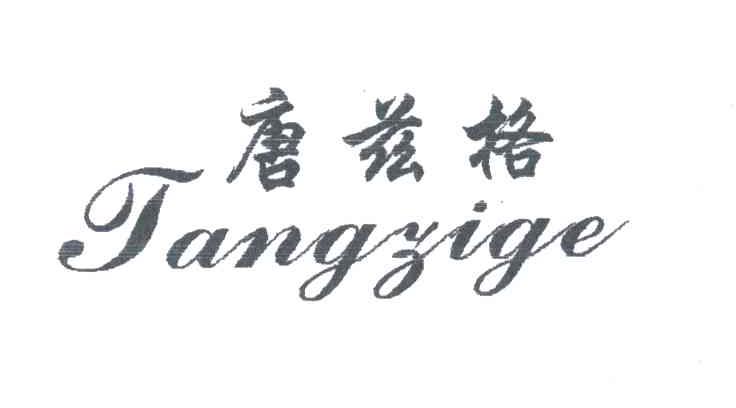 唐兹格