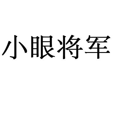 小眼将军