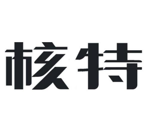 核特