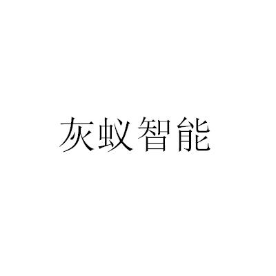 灰蚁智能