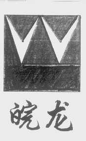 皖龙
