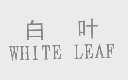 白叶   WHITE LEAF