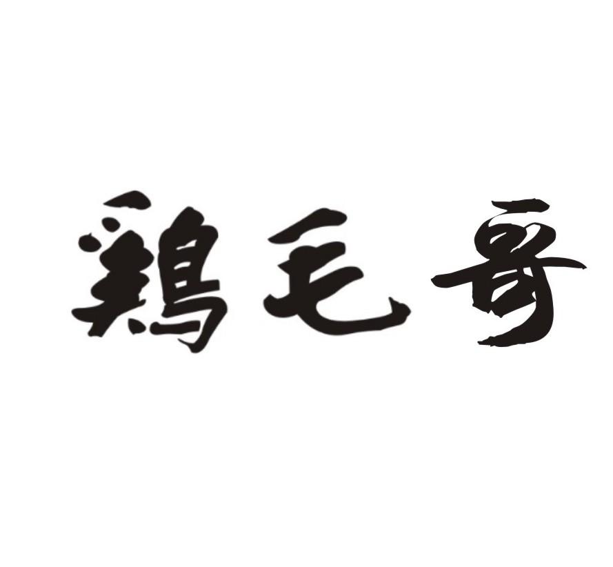 鸡毛哥