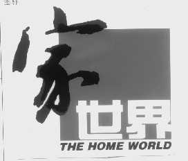 家世界   THE HOME WORLD