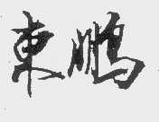 东鹏