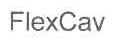 FLEXCAV