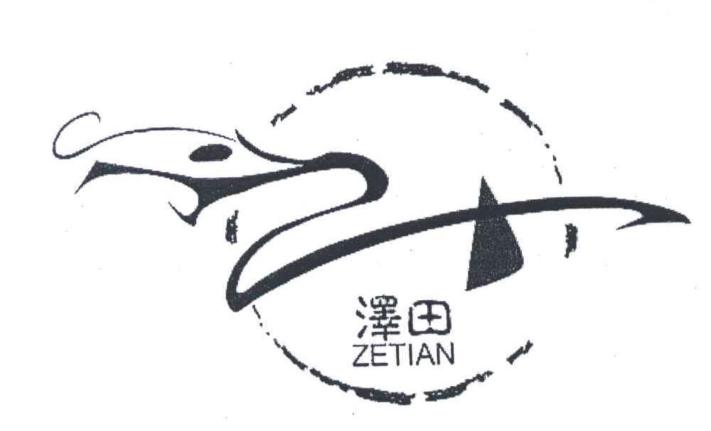 泽田;ZETIAN