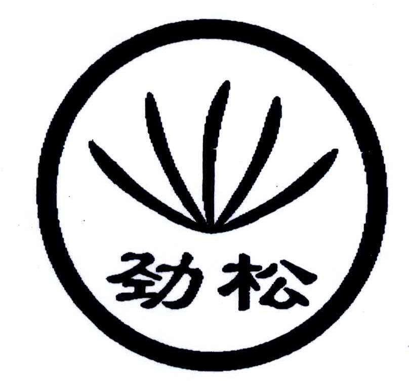 劲松