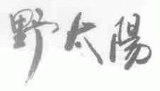 野太阳