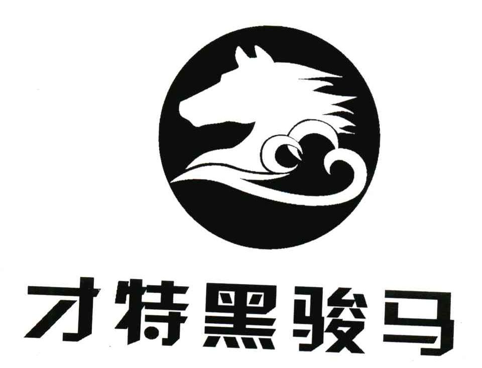 才特黑骏马