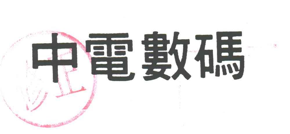 中电数码