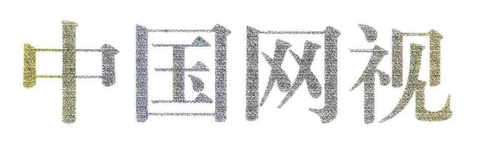 中国网视