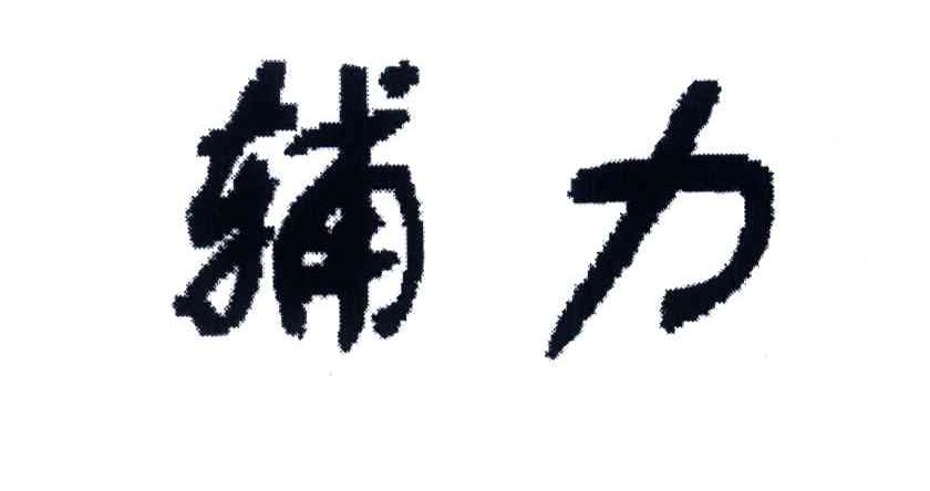 辅力