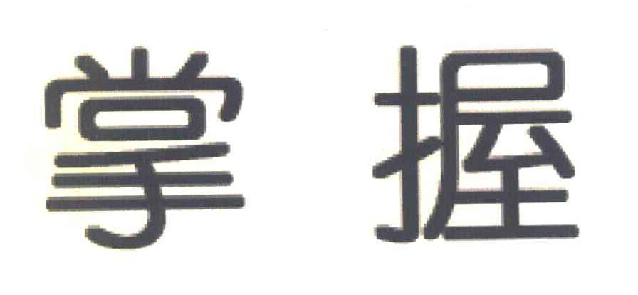 掌握