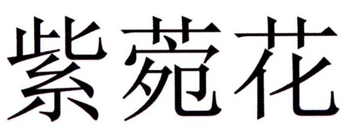 紫菀花