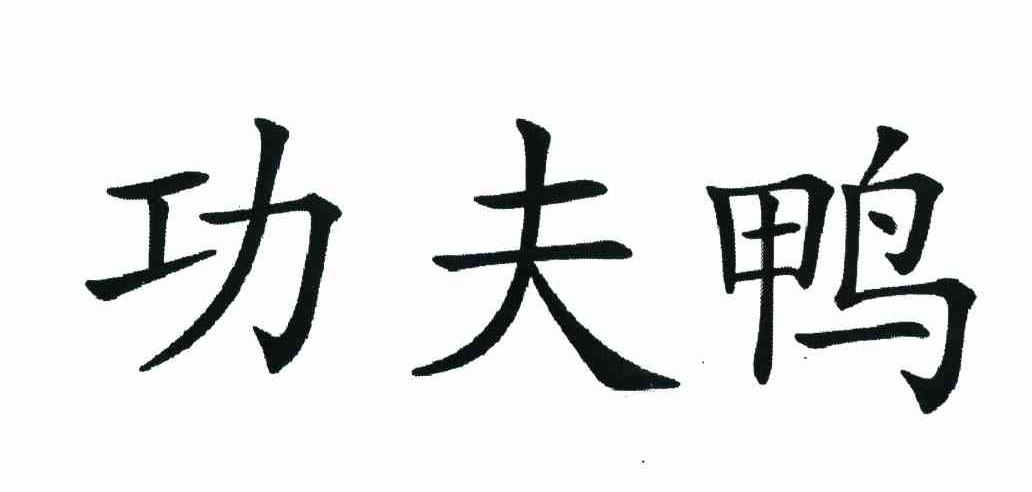 功夫鸭