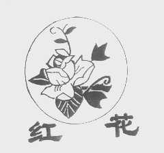 红花