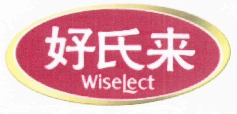 好氏来 WISELECT