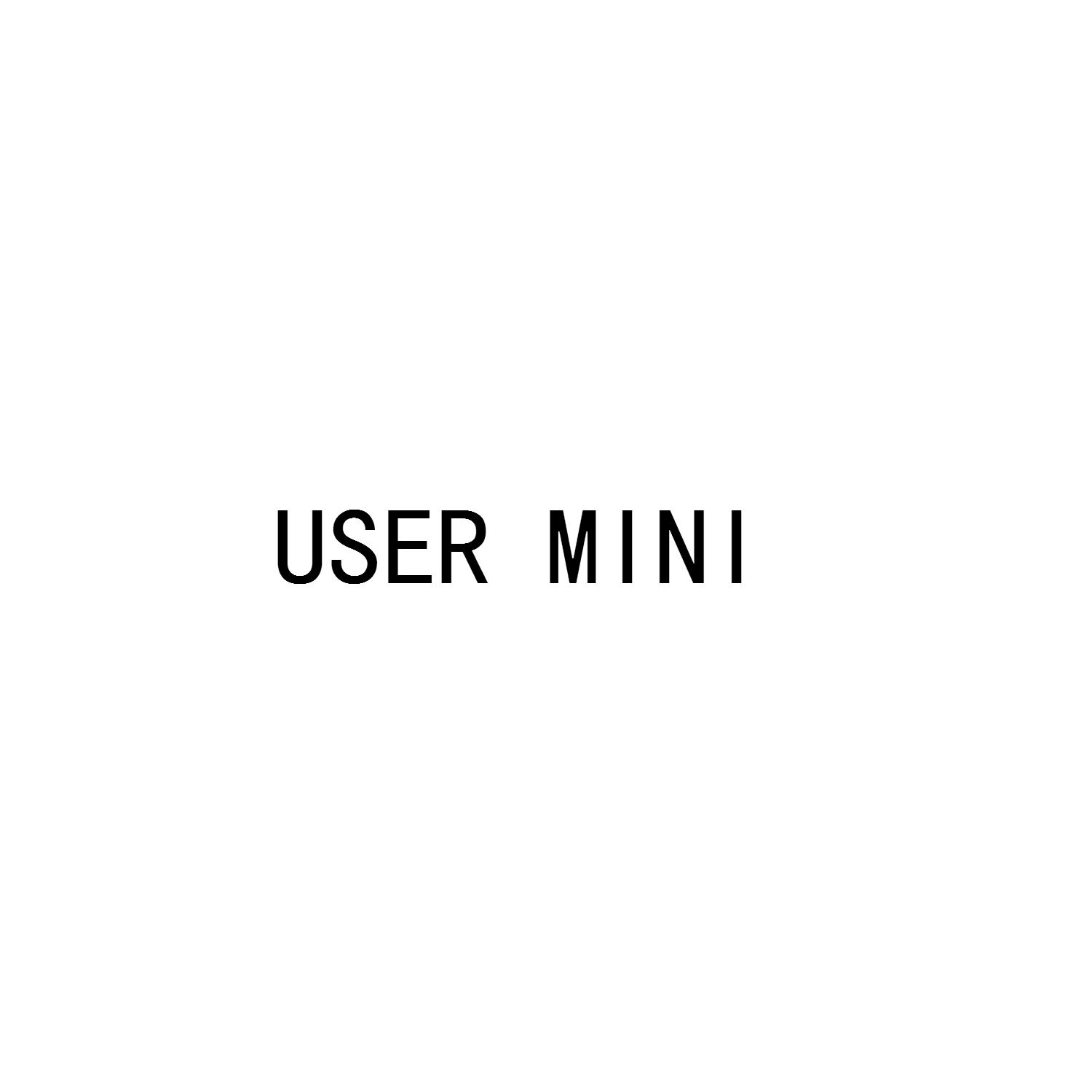 USER MINI