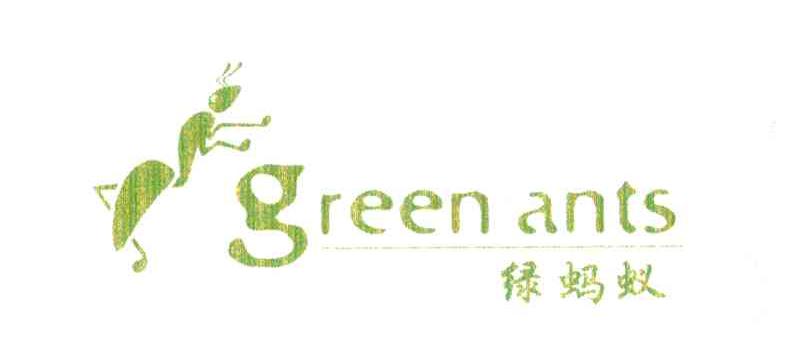绿蚂蚁 GREEN ANTS