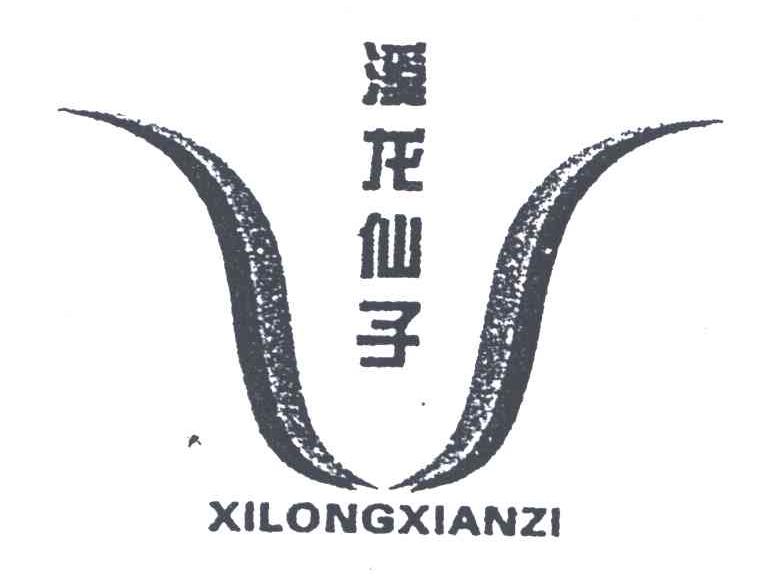 溪龙仙子