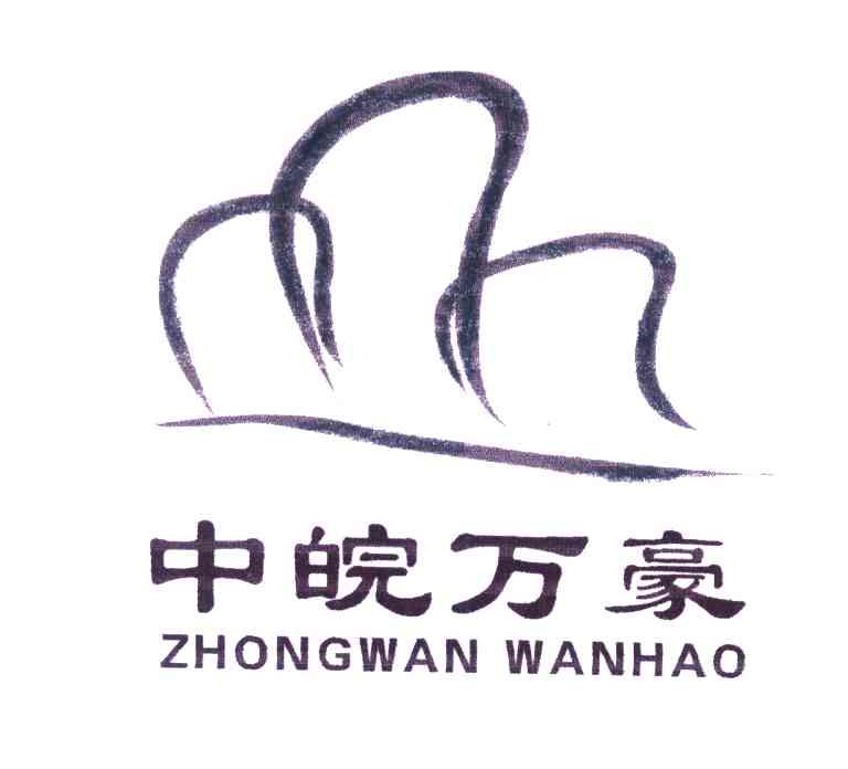 中皖万豪