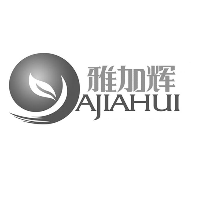 雅加辉