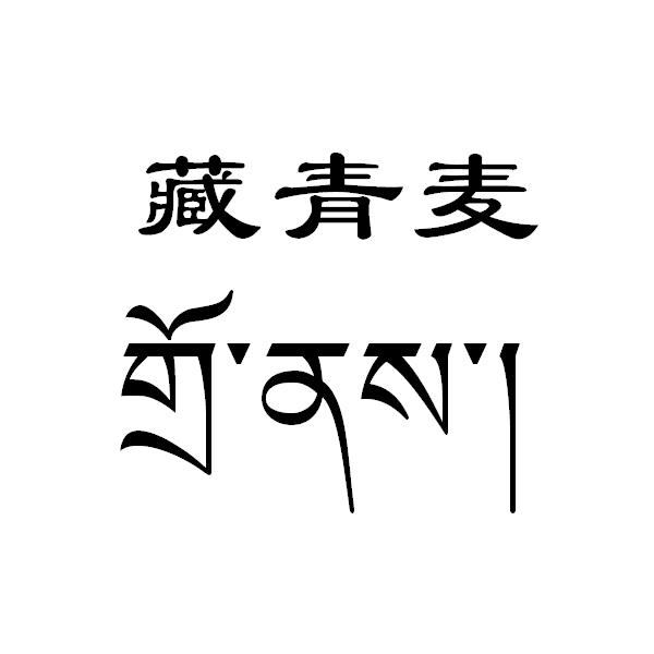藏青麦