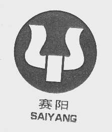 赛阳