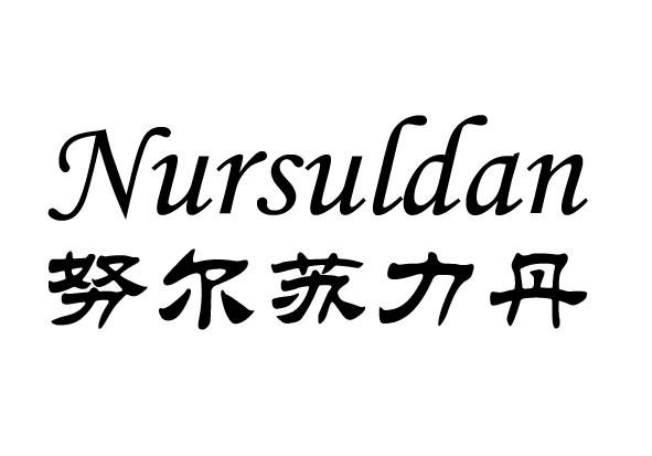 努尔苏力丹 NURSULDAN