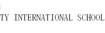 TY INTERNATIONAL SCHOOL