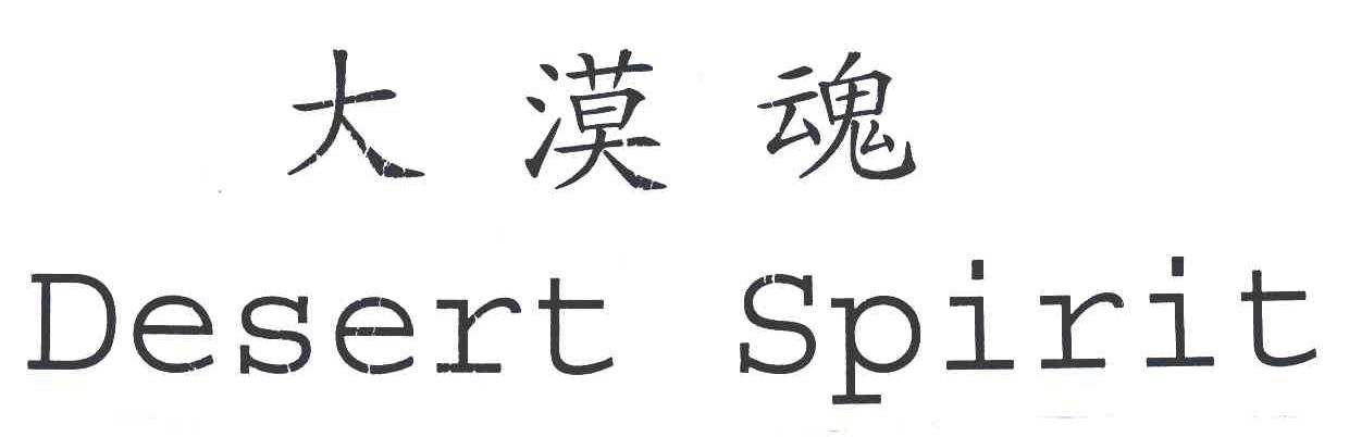 大漠魂 DESERT SPIRIT