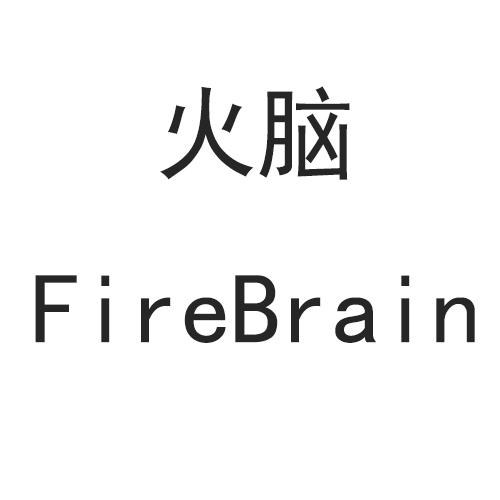 火脑  FIREBRAIN