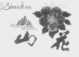 山花
