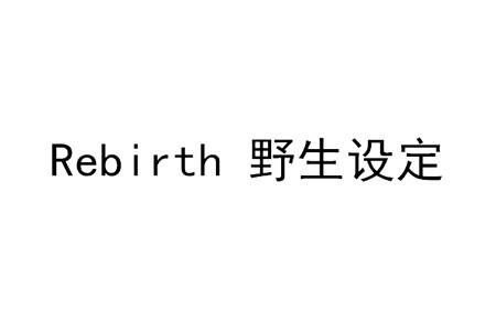 REBIRTH 野生设定
