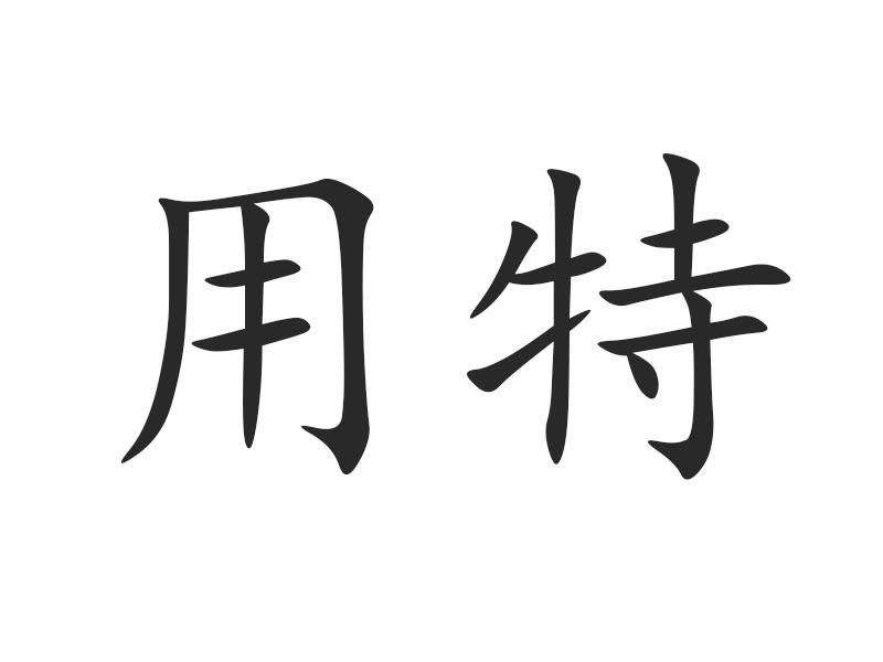 用特