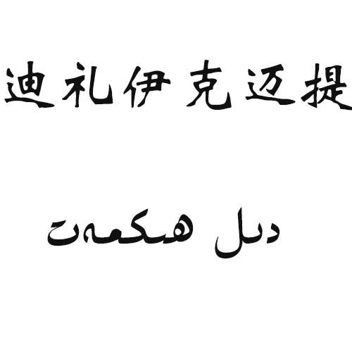 迪礼伊克迈提