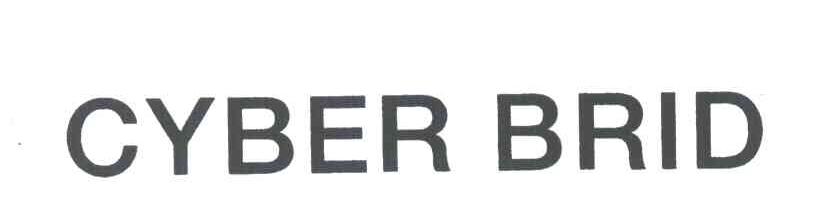 CYBER BRID