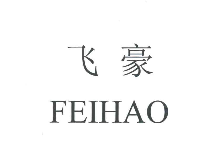 飞豪