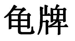 龟牌