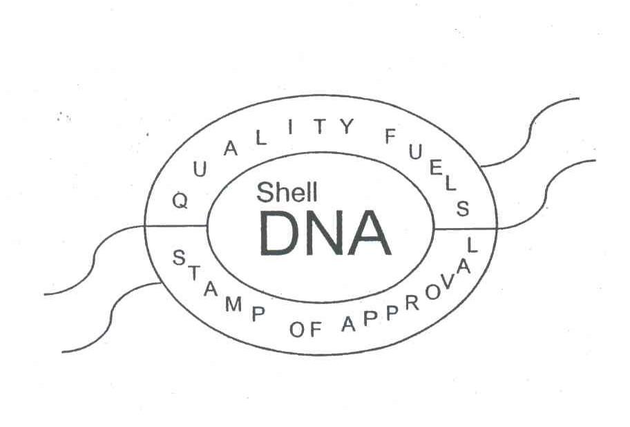 SHELL;DNA