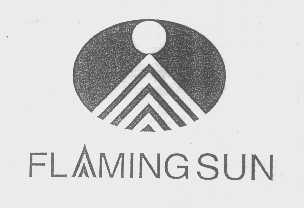 FLAMING SUN