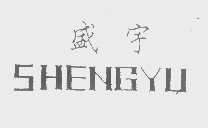 盛宇