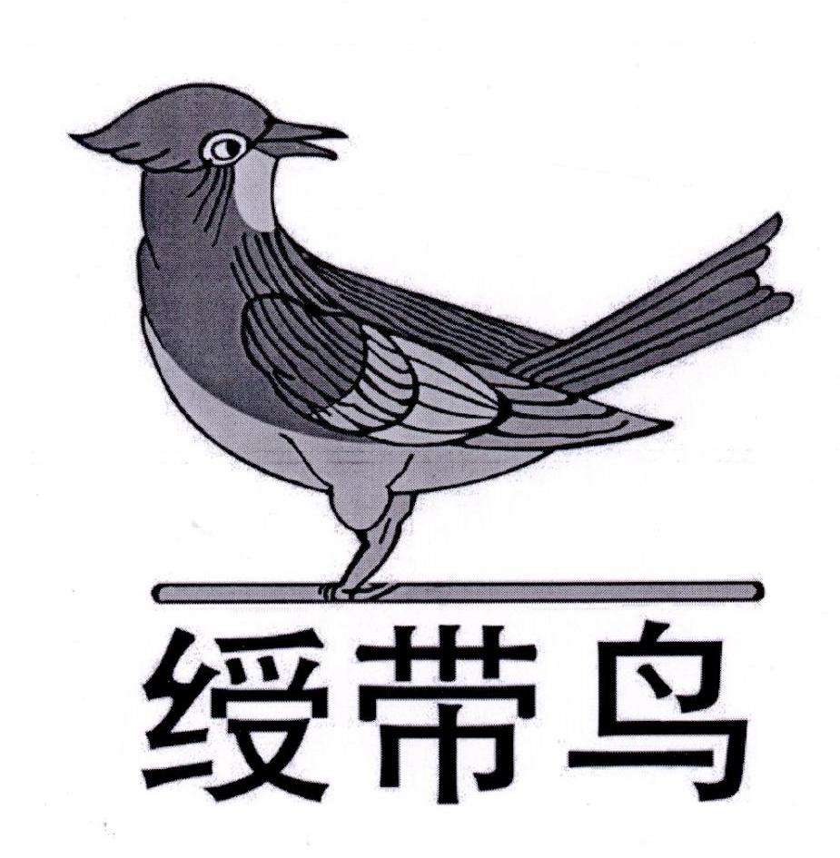 绶带鸟