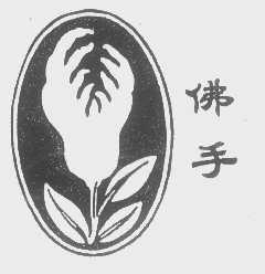 佛手