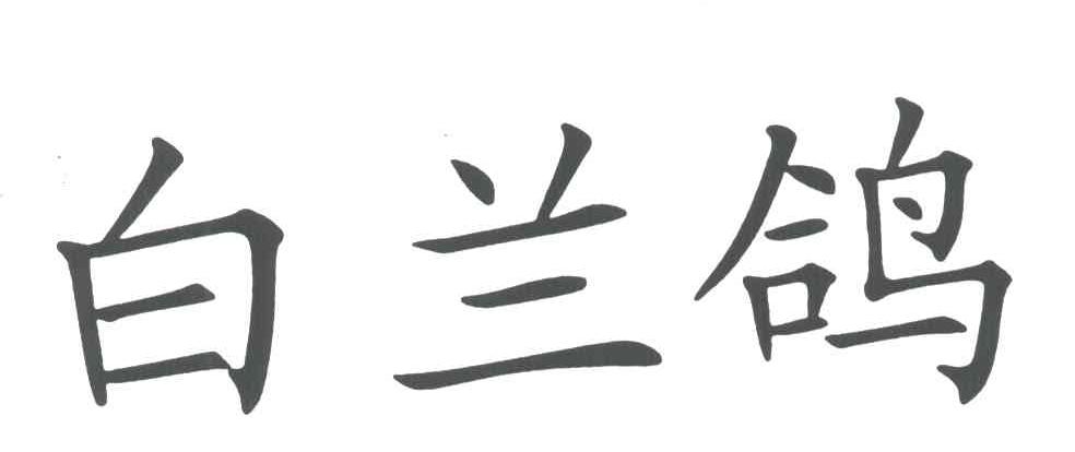 白兰鸽