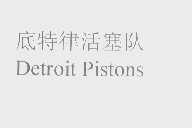 底特律活塞队   DETROIT PISTONS